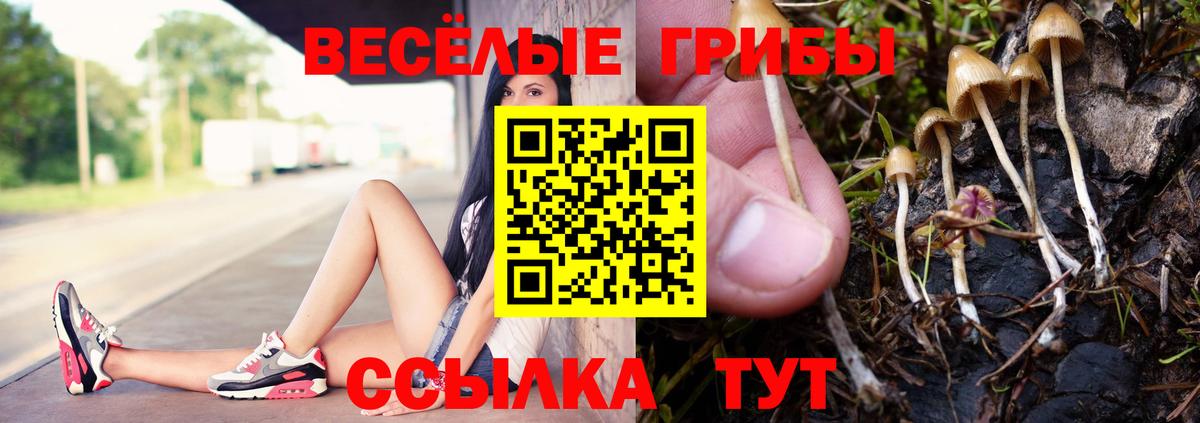 Псилоцибиновые грибы мицелий Кашира